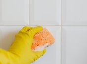 Цвіль — це мікроскопічний грибок, який процвітає у вологому та теплому середовищі