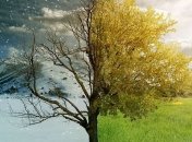 Зимы не будет - будет лето 