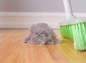 В чем опасность домашней пыли для здоровья