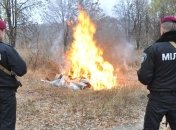 Полтавские правоохранители уничтожили наркотиков на миллион гривен
