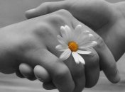 24 марта Всемирный день борьбы с туберкулезом