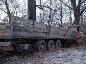Въехал в дерево: В Хмельницкой области погиб водитель грузовика (Фото)