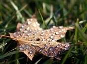 Дожди и местами грозы: Чем удивит погода сегодня, 3 мая