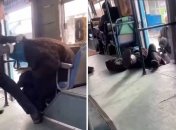 Жінку просто витягли за руку