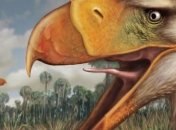 Ученым удалось воссоздать крик древней "птицы ужаса"
