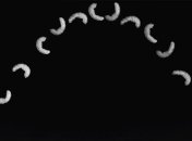 Раскрыт секрет прыгучести безногих личинок