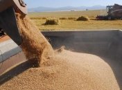 Україна встановила рекорд з експорту зерна