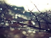 Погода в Украине на 22 декабря: в некоторых регионах - дожди