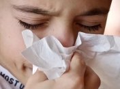 Продукты, которые смягчают симптомы аллергии