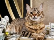 Для знаків Зодіаку підготовлено приємні сюрпризи