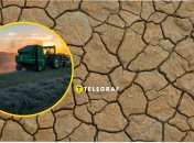 Ґрунт в Україні страждає від сильної посухи