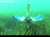 Робот с 4 плавниками, который способен плыть в любом направлении (Видео)