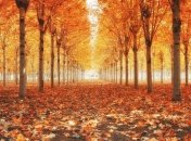 Золотая осень в Днепре