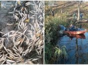 Озеро было очищено