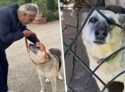 Пес Джек и Андреа Бочелли