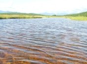 Аномально теплая зима: грозит ли Украине дефицит воды