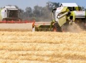 В 2016 году экспорт зерновых Украины стал рекордным