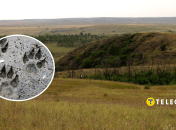 Коллаж, "Телеграф"