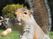 Юмор со вкусом: смешные ситуации в смс