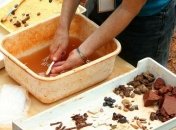 На Шрі-Ланці знайшли найстаріші в Азії доісторичні стріли (Фото)