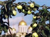 Порошенко и Гройсман поздравили украинцев с Яблочным Спасом