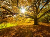 1 сентября. Приметы дня