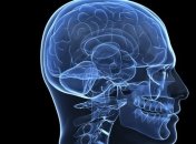 Ученые на пути к созданию бионического мозга человека 