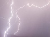 В Черниговской области молния попала в пастухов