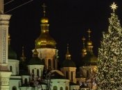 Новогоднюю елку Украины в этом году в столицу привезут из Прикарпатья