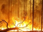 Изменения климата планеты: в Австралии бушуют пожары