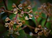 Погода в Украине