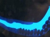 Снимок смерти: ученые из BBSRC зафиксировали удивительное явление