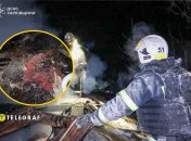 Спасатели на месте удара