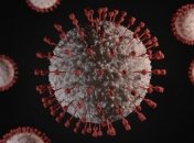 Скільки буде жити коронавірус при різних температурах