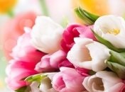 Как лидеры страны поздравили женщин с 8 марта