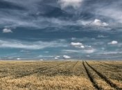 Ринок землі в дії: скільки угод вже уклали в Україні і де торгують найактивніше (інфографіка)