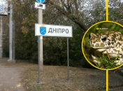 Рапухи в Украине