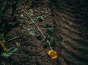 Одна из работ украинского фотографа