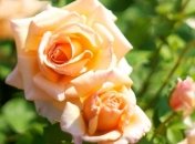 С приходом лета в Украине похолодает 