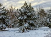 Какой завтра праздник: приметы и обряды на 25 января