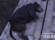 В Сумах нашли собак, которых женщина держала в жестоких условиях (Фото)