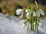 Погода в Киеве будет колебаться от -10 до +22 градусов