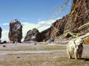 Тибетская встряска: В Китае сообщили об отсутствии жертв