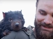 Тасманійські дияволи повернулися до Австралії: їх не бачили там 3 тисячі років (Відео)