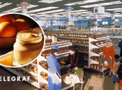 Коллаж "Телеграфа"