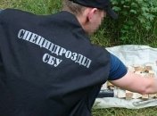 В Одесской области обнаружили два тайника с боеприпасами
