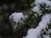 15 декабря - приметы и обряды в День пророка Аввакума