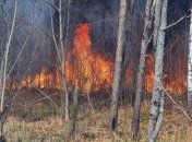 В Чернобыльской зоне уже неделю тушат пожар: Что с радиационным фоном (Видео, Фото)