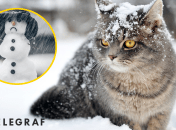 Ноябрь в Украине