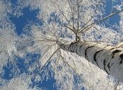 В Украине продолжает хозяйничать настоящая зима